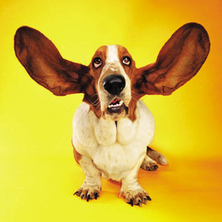 active-listening